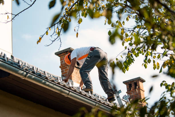 Best Roof Moss and Algae Removal  in Bullard, TX